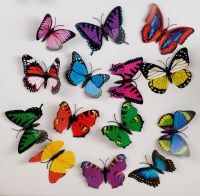 Миниатюра: Магнит Разноцветная бабочка 8,5*9,5 см пластик