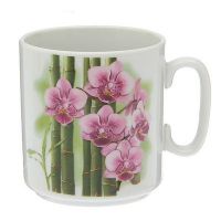 Миниатюра: *Кружка 300мл фарфор Джойс Бамбуковая орхидея