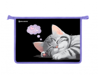 Миниатюра: Папка для труда на молнии BRAUBERG А4, 2 отделения, органайзер, Sleeping kitten