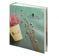 Миниатюра: Фотоальбом На бирюзовом фоне на 200 фото 10*15см,твердая обложка,термосварка