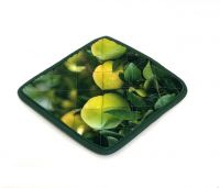 Миниатюра: Прихватка (квадратная) 17*17 стеганная Яблоневый сад