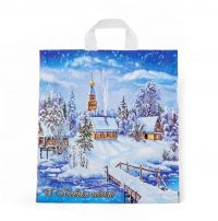 Миниатюра: Пакет петл. ПВД 40*42/45 мкм Снежное царство